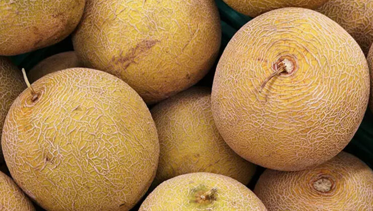 Kavun alırken dikkat! Kabuğundaki bu işaret bakteri olduğunu gösteriyormuş