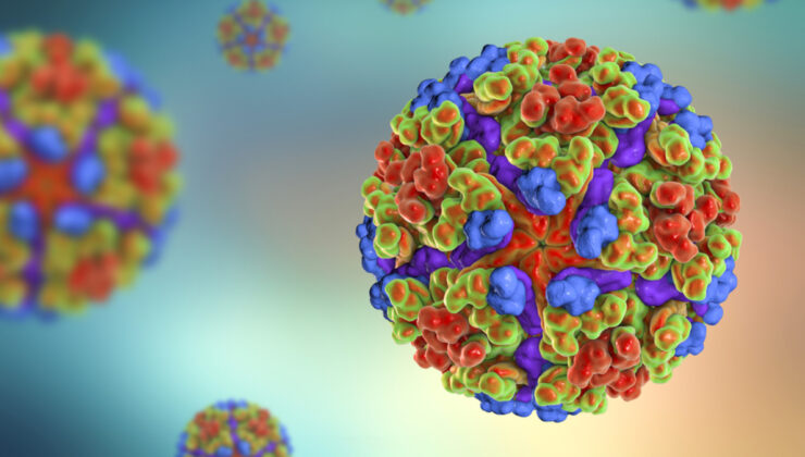 Koronavirüs gibi geliyor: 119 ülkede görüldü! Türkiye de riskli…