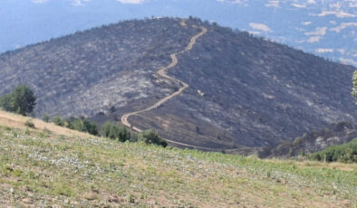 Manisa’da yangından geriye küle dönen evler ve tarlalar kaldı