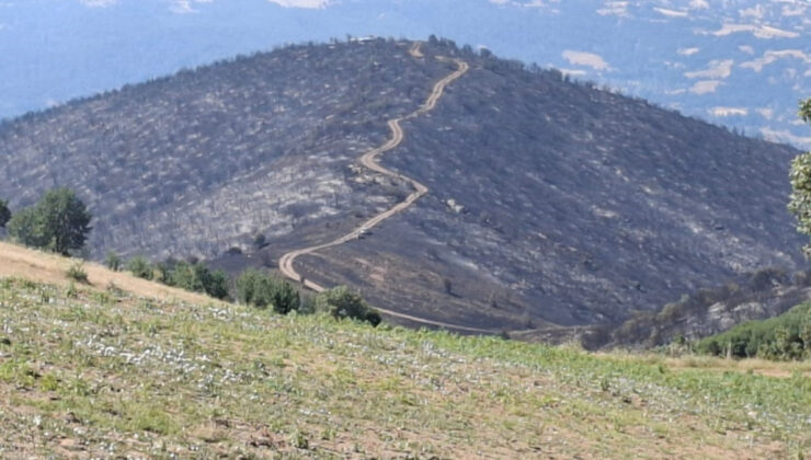 Manisa’da yangından geriye küle dönen evler ve tarlalar kaldı