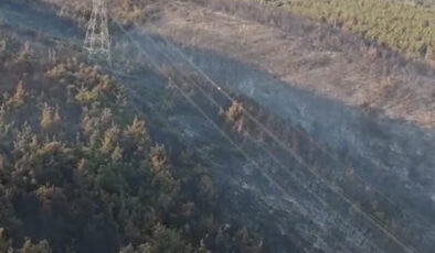 Manisa’daki orman yangını 2’nci gününde: Müdahale devam ediyor