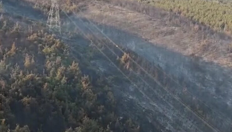 Manisa’daki orman yangını 2’nci gününde: Müdahale devam ediyor