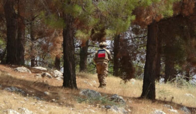 Mehmetçik orman yangınlarına karşı sahada nöbette