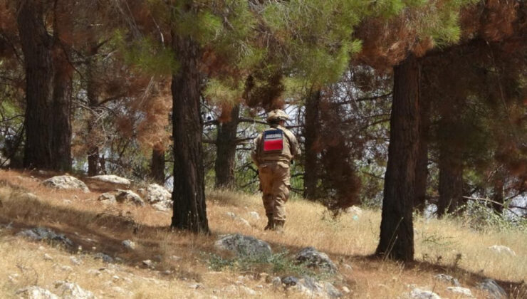 Mehmetçik orman yangınlarına karşı sahada nöbette