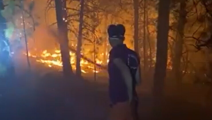 Orman kahramanları Yeşil Vatan için mücadele veriyor