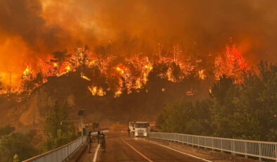 Türkiye Orman Yangınlarıyla Mücadele Ediyor
