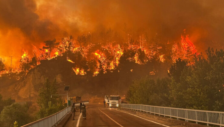 Türkiye Orman Yangınlarıyla Mücadele Ediyor