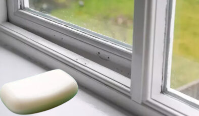 Pencere kenarına bir miktar sürün, sivrisineklerden temelli kurtulun