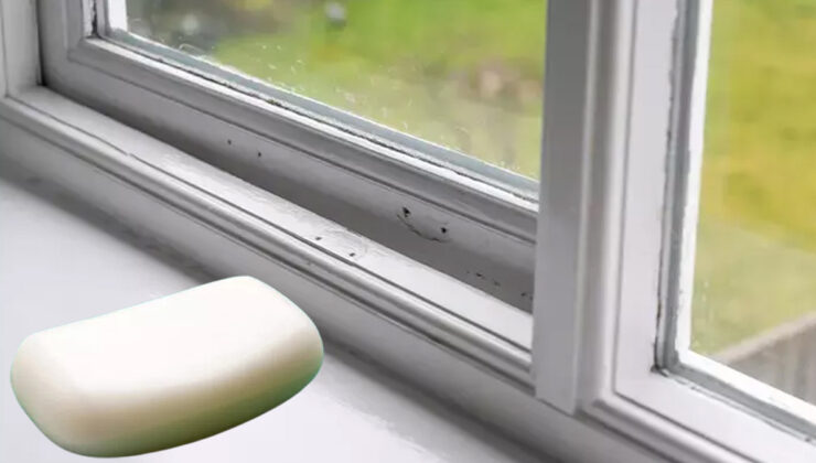 Pencere kenarına bir miktar sürün, sivrisineklerden temelli kurtulun