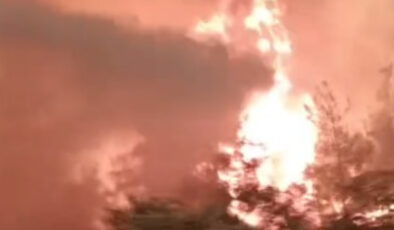 Sakarya’da alevlerin arasında kalan ekibin zor anları görüntülendi