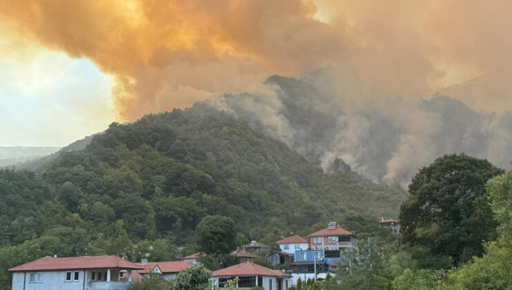 Sakarya’da çıkan yangın sonrası D-650 kara yolu ulaşıma kapatıldı