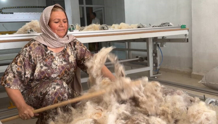 Şanlıurfa’da çöpe atılan yünleri topladı: Kendi atölyesini kurdu