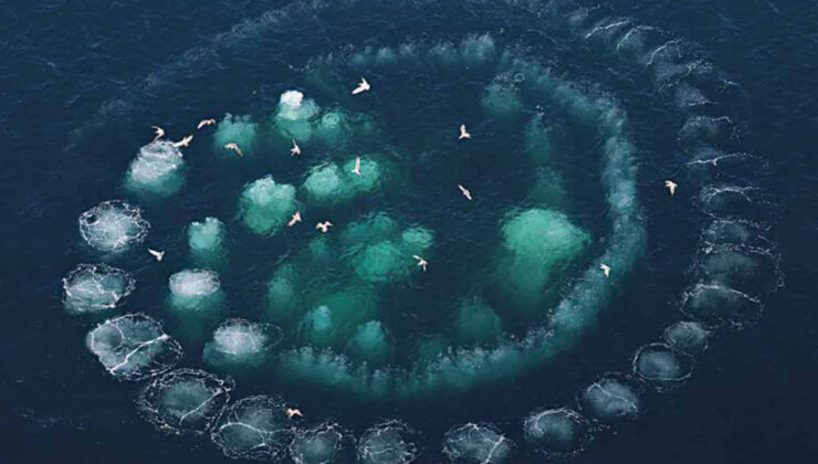 Sebebini bilen uzak duruyor! Denizde oluşan baloncuk halkasının nedeni bakın neymiş