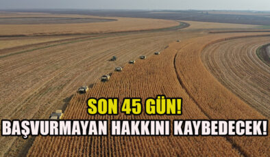 Tapu sahipleri dikkat: 45 gün süre verildi! Bakanlık izin almadan kiraya verebilecek