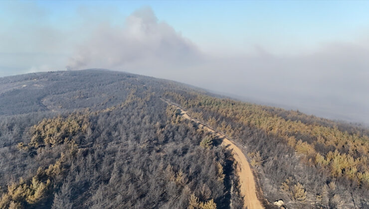 Tekirdağ’da orman yangını: Oluşan hasar havadan görüntülendi