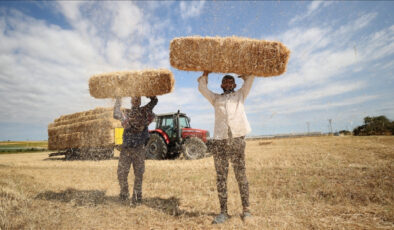 Trakya’da balya işçilerinin kavurucu sıcaktaki mesaisi zorluyor