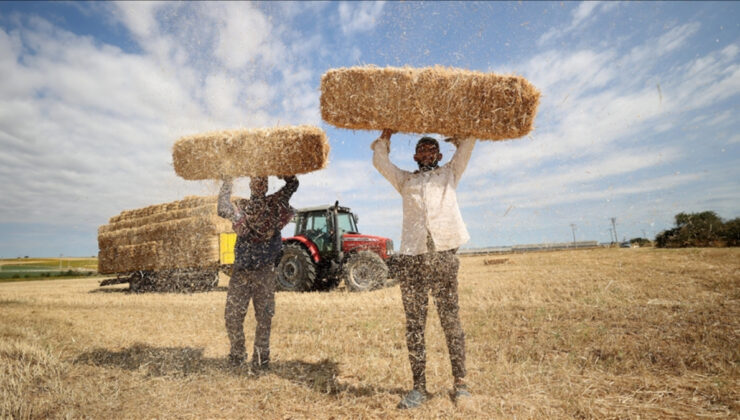 Trakya’da balya işçilerinin kavurucu sıcaktaki mesaisi zorluyor