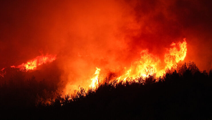 Türkiye, orman yangınlarıyla mücadele ediyor