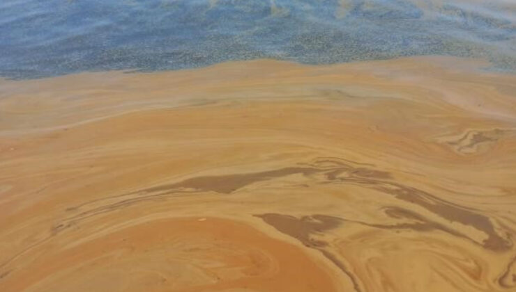 Yalova’da denize atık yağ döküldü: Fabrika hakkında inceleme başlatıldı