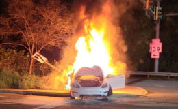 Yeni rapor geldi: İşte Tesla modellerinin yangın ve kaza riski oranı