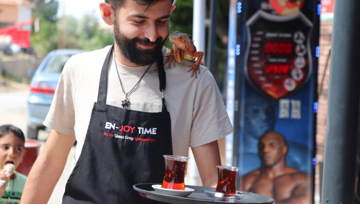 Yozgatlıların ‘maça giden iguana’sı Ökkeş, omuzlardan inmiyor
