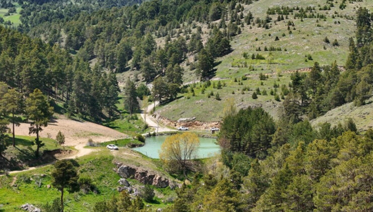 Yozgat’ta ormanlık alanlara giriş yasaklandı