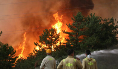 Yurt genelinde orman yangınlarıyla mücadelede son durum