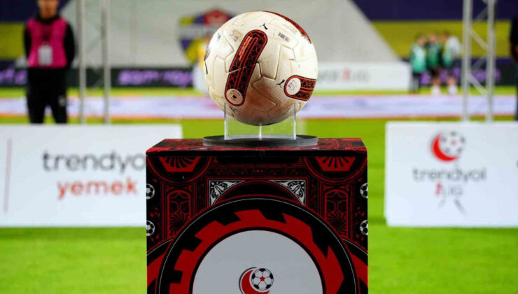 1. Lig’in en deneyimlisi Sakaryaspor, en yenileri Vanspor FK ile Serik Belediyespor