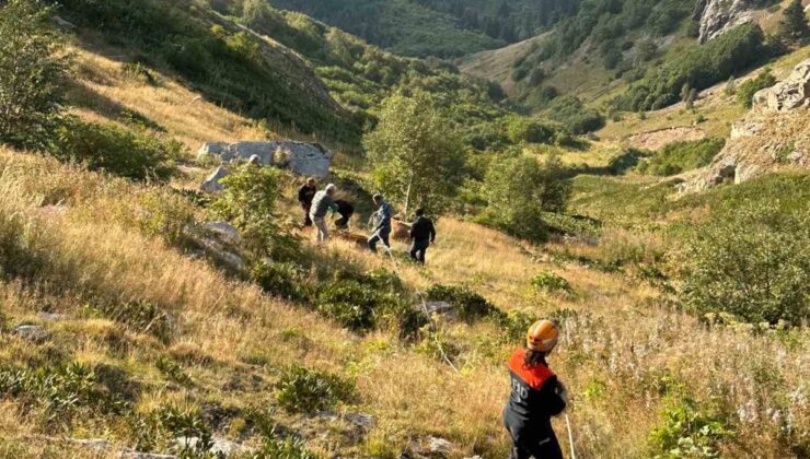 Artvin’de Kurtarma Operasyonu: Yamaçtan Düşen İnek 12 Saat Sonra Kurtarıldı