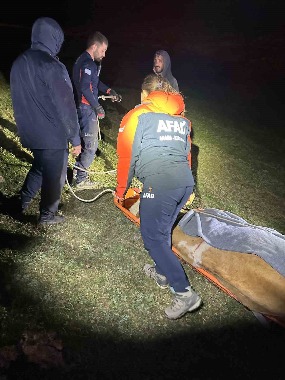 Artvin inek kurtarma1