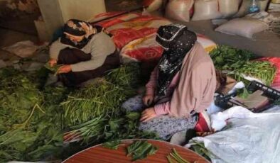 Bayburt’ta Kışlık Hazırlıklar Başladı