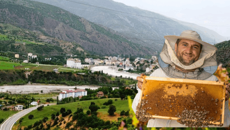 Çamoluk Bal Festivali Coşkusu Başlıyor