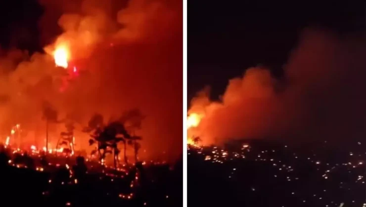 Denizli’de Orman Yangını: Havadan ve Karadan Müdahale Sürüyor