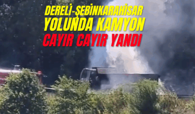 Dereli-Şebinkarahisar Yolunda Korkutan Olay