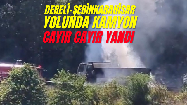 Dereli-Şebinkarahisar Yolunda Korkutan Olay