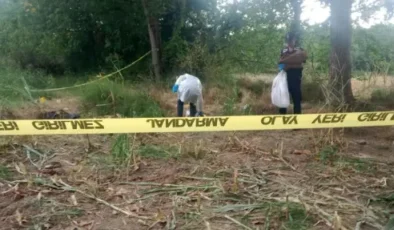 Düzce’de Mısır Tarlasında Kemikler Bulundu