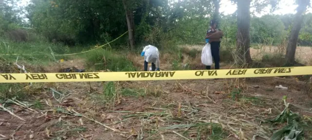 Düzce’de Mısır Tarlasında Kemikler Bulundu