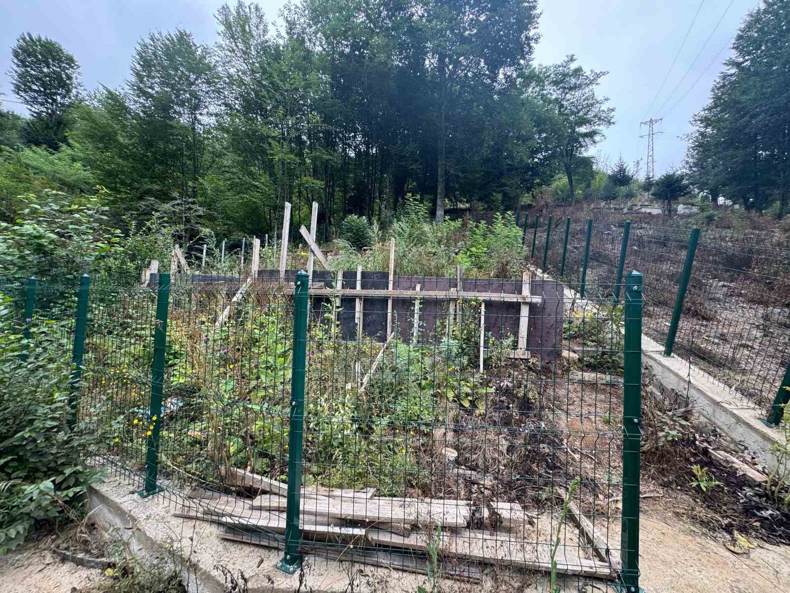 Giresun Hacı İlyas türbesi