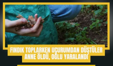 Giresun’da Fındık Toplama Faciası