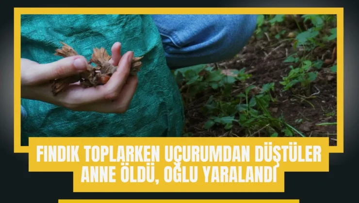 Giresun’da Fındık Toplama Faciası