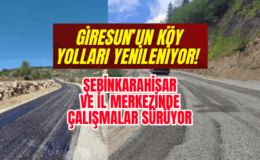 Şebinkarahisar ve Merkezde Çalışmalar Hızlandı