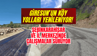 Şebinkarahisar ve Merkezde Çalışmalar Hızlandı