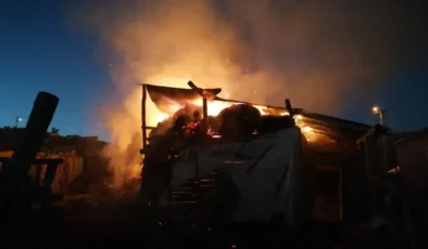 Kelkit’te Ahır ve Samanlık Yangını: Hayvanlar Kurtarıldı