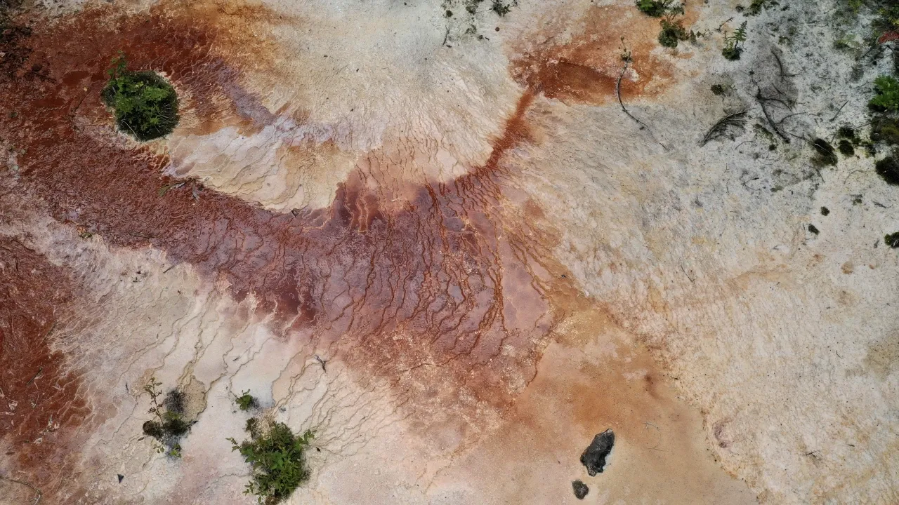  Kuzalan Tabiat Parkı1