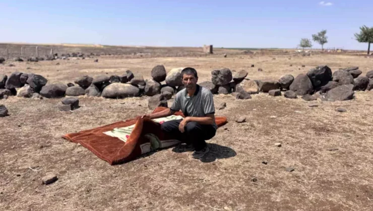 Mardin’de Acı Olay: 12 Yaşındaki Zeynep’in Ölümü