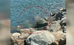 Yalova’da Acı Olay: Metin Baş’ın Cansız Bedeni Bulundu