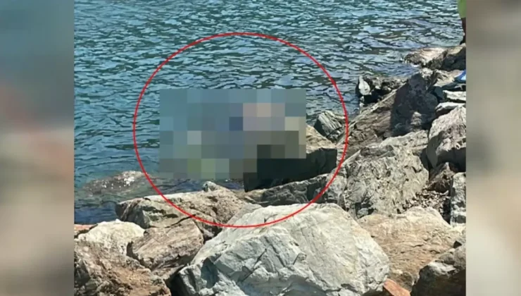Yalova’da Acı Olay: Metin Baş’ın Cansız Bedeni Bulundu