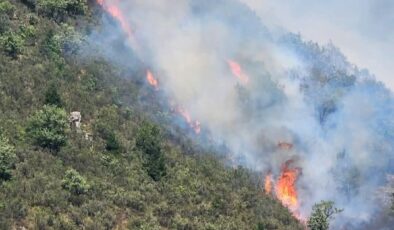 Gümüşhane Kürtün’deki Yangın Kontrol Altına Alındı, 1 Kişi Gözaltında