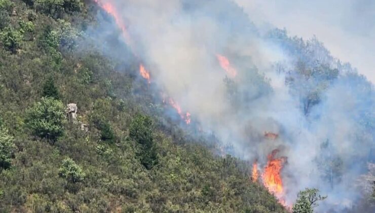 Gümüşhane Kürtün’deki Yangın Kontrol Altına Alındı, 1 Kişi Gözaltında