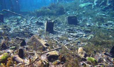 Antalya Körfezi’nde çevre felaketi yakın: Kirlilik gözle görülür hale geldi